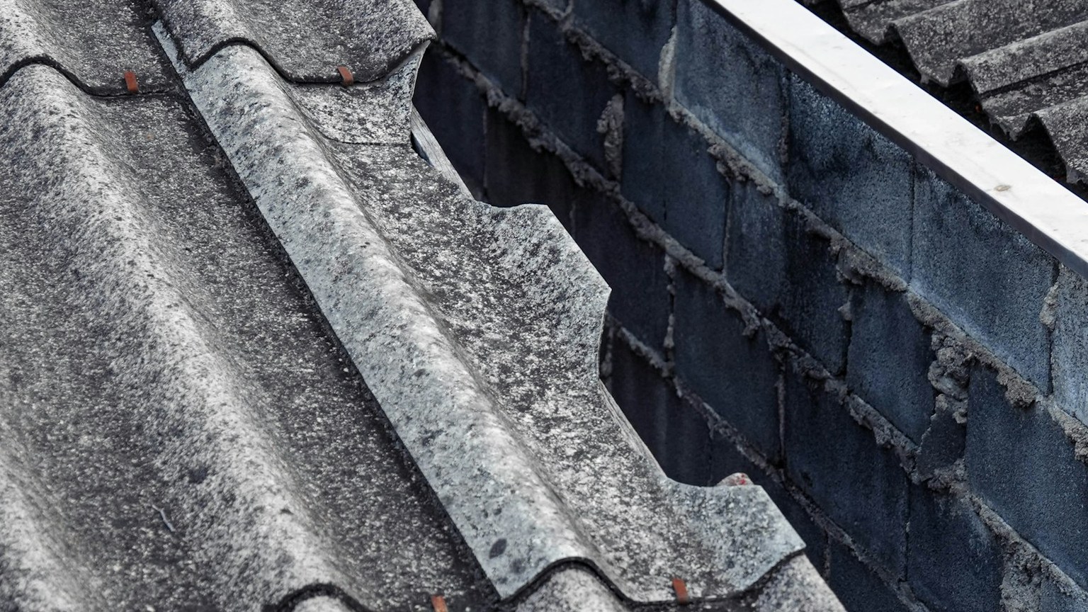 Roof inspection and repair assessment