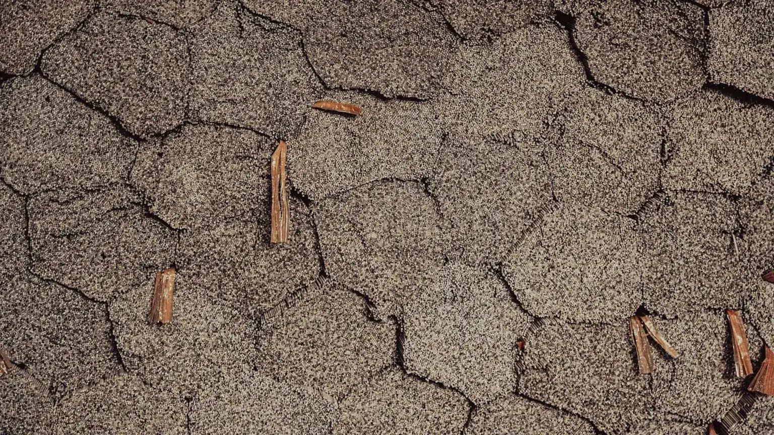Severely cracked and deteriorated asphalt shingles at the end of their service life